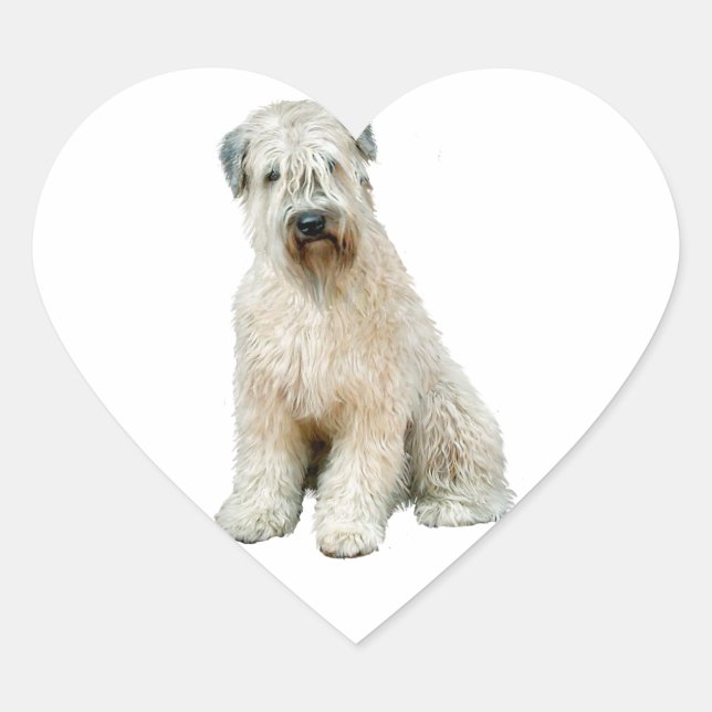Sticker Cœur Wheaten Terrier (C) (Devant)
