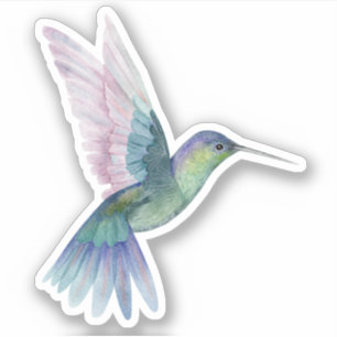 Sticker Colibri bleu vert Nature Faune