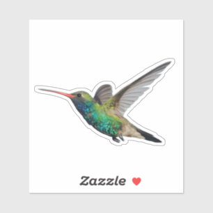 Sticker Colibri en vol