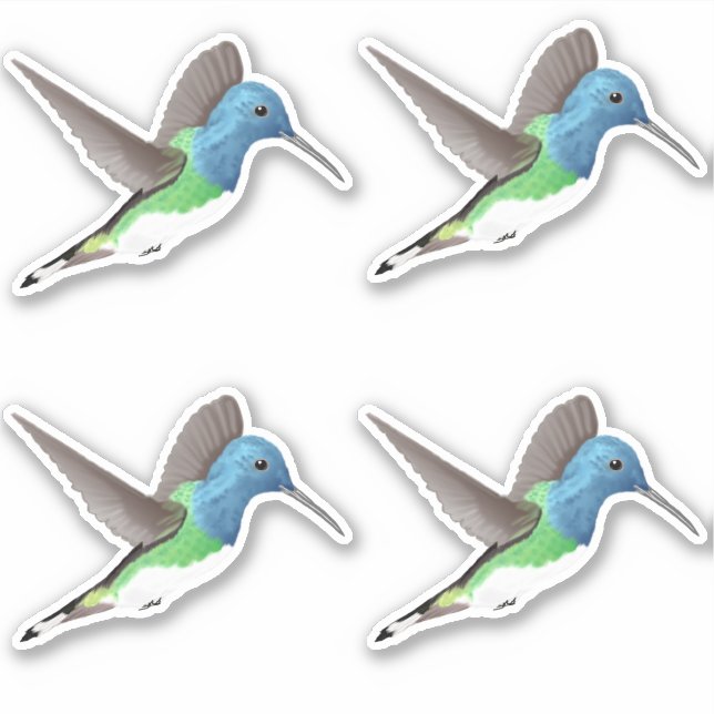 Sticker Colibri jacobin survolant - 4x découpé sur mesure. (Devant)