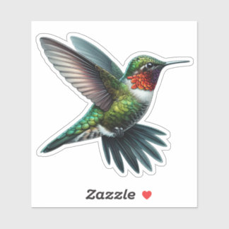 Sticker Colibri Throated Ruby-Throated