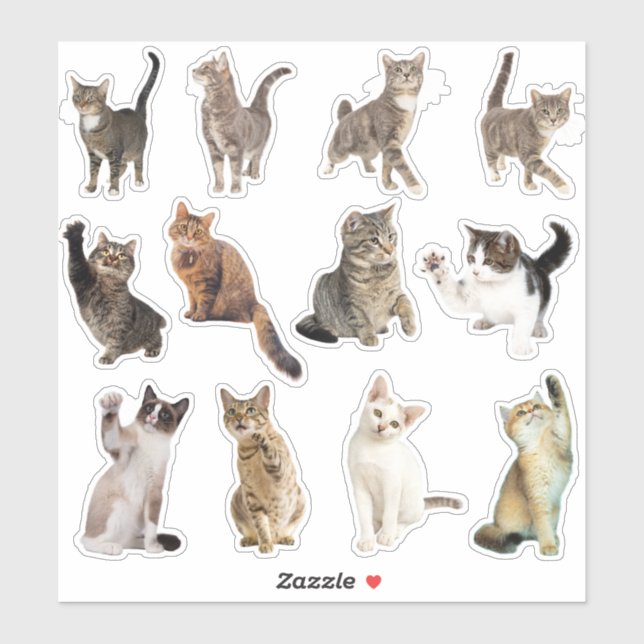 Sticker Collection d'autocollants de chats (Feuille)