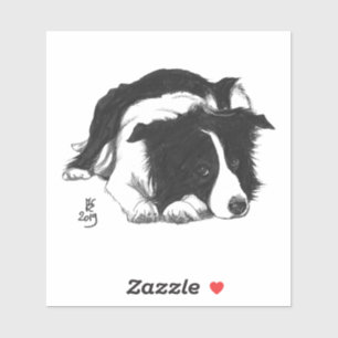 Sticker Collie carré de Doggust 2019