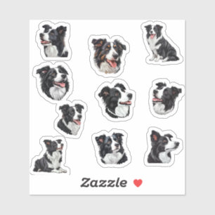Sticker collie de bordure
