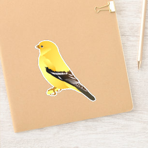 Sticker Collier de Goldfinch