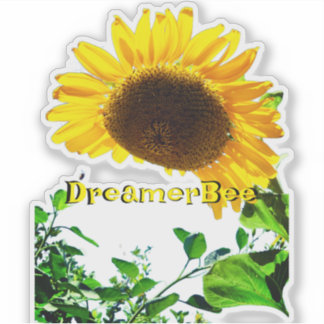 Sticker collier de tournesol coupé avec abeille