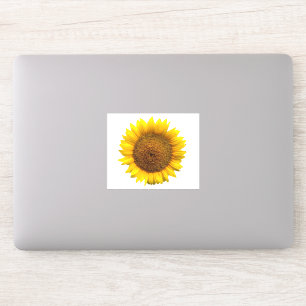 Sticker Collier en vinyle de tournesol