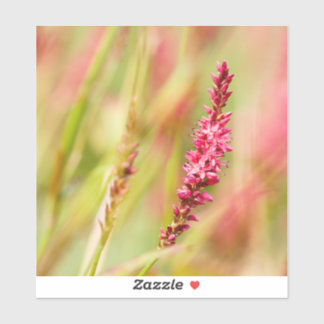 Sticker coloris