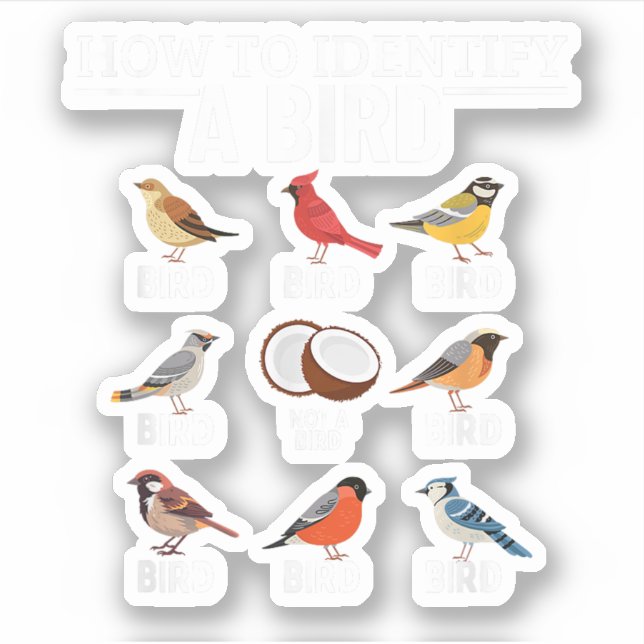 Sticker Comment identifier un oiseau Drôle d'observation d (Devant)