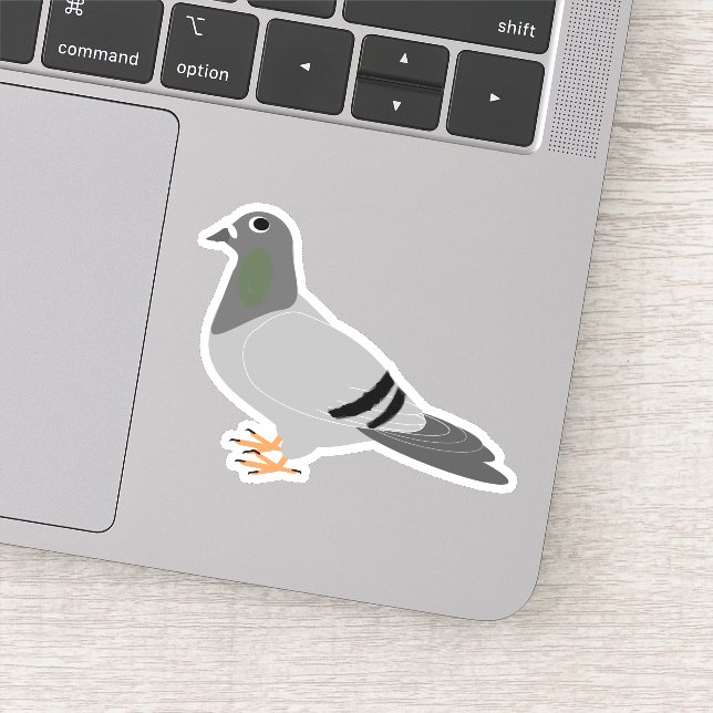 Sticker Conception de pigeon (Détail)