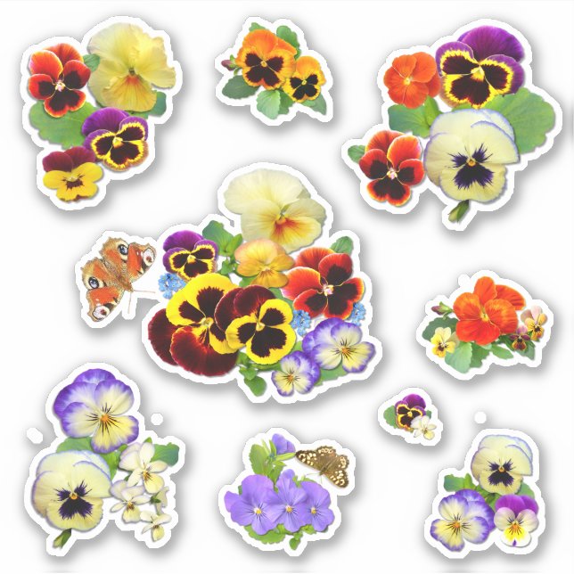 Sticker Contour Pansies de charme (Devant)