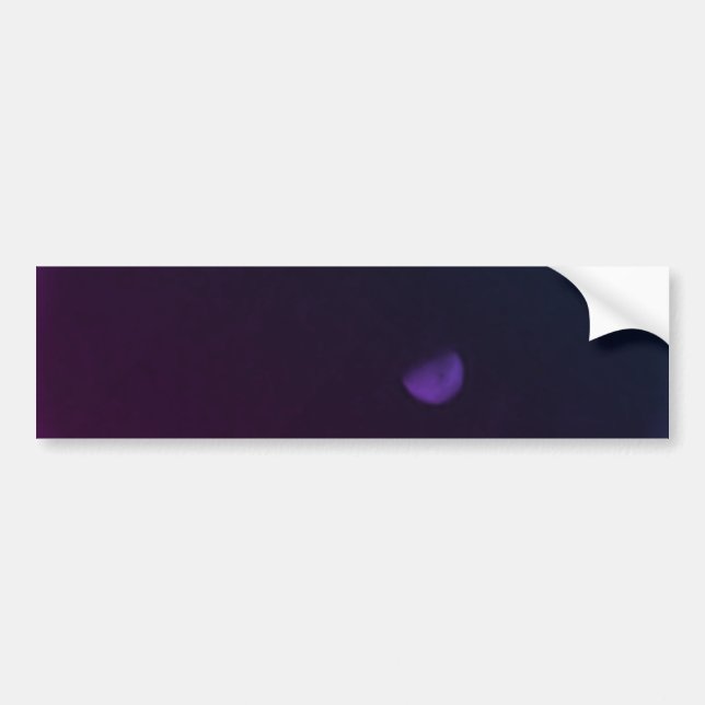 Sticker COOL ECO STYLE (Devant)