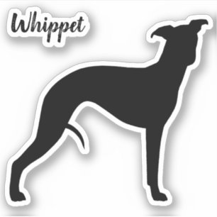 Sticker Cool Whippet Silhouette Amoureux des chien
