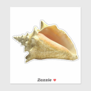 Sticker Coquille