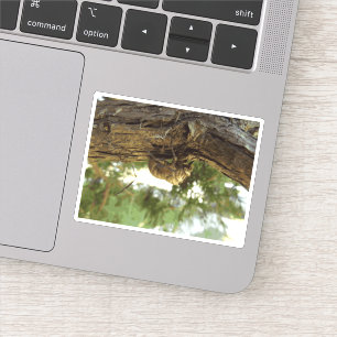 Sticker Coquille de Canada. C'était pressé.