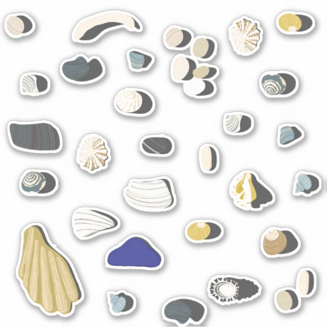 Sticker Coquilles et galets de plage (Devant)