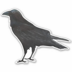 Sticker Corneille d'oiseaux noirs