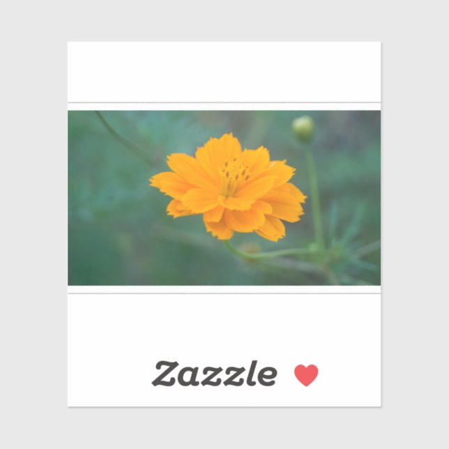 Sticker Cosmos Sulfureux 03 (Feuille)