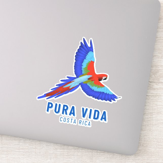 Sticker Costa Rica Parrot Souvenir coloré (Détail)