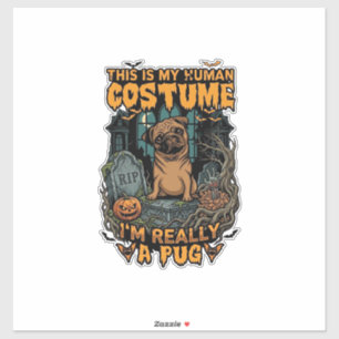 Sticker Costume Humain Pug Halloween Citrouille Pierre Tom