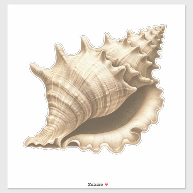 Sticker Coteau/plage/coquillage nautique (Feuille)