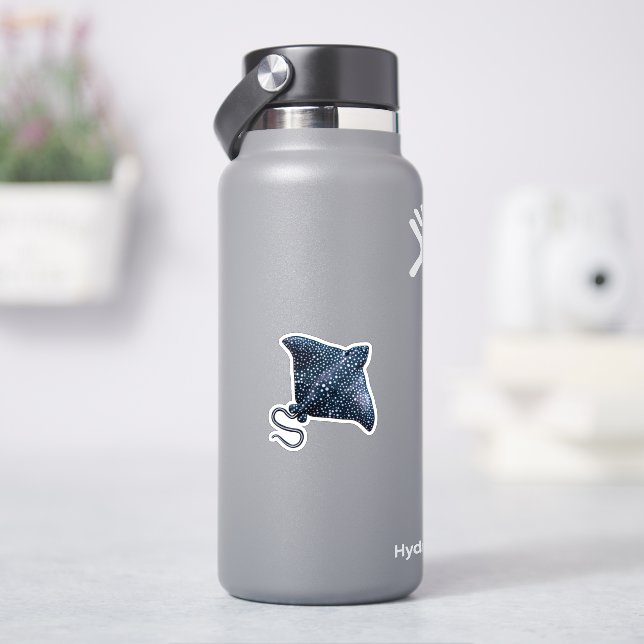 Sticker couleur de rayon d'arrêt (HydroFlask)