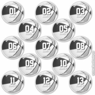 Sticker couleurs de l'équipe de basketball gris noir 13 at