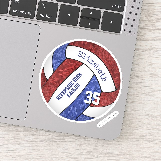 Sticker Couleurs de l'équipe de volley-ball marron bleu gi (Détail)