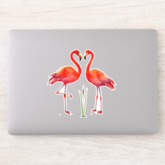 Sticker Couple de flamants roses magnifiques (Ordinateur)