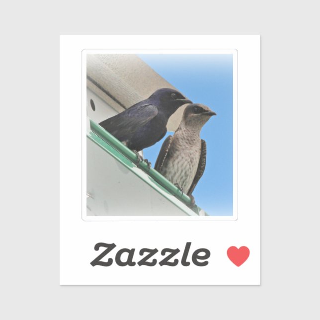 Sticker Couple de Hirondelles noires (Feuille)