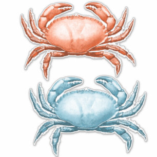 Sticker Crabes rouge et bleu vintages Océan marin Faune