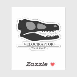 Sticker Crâne Velociraptor