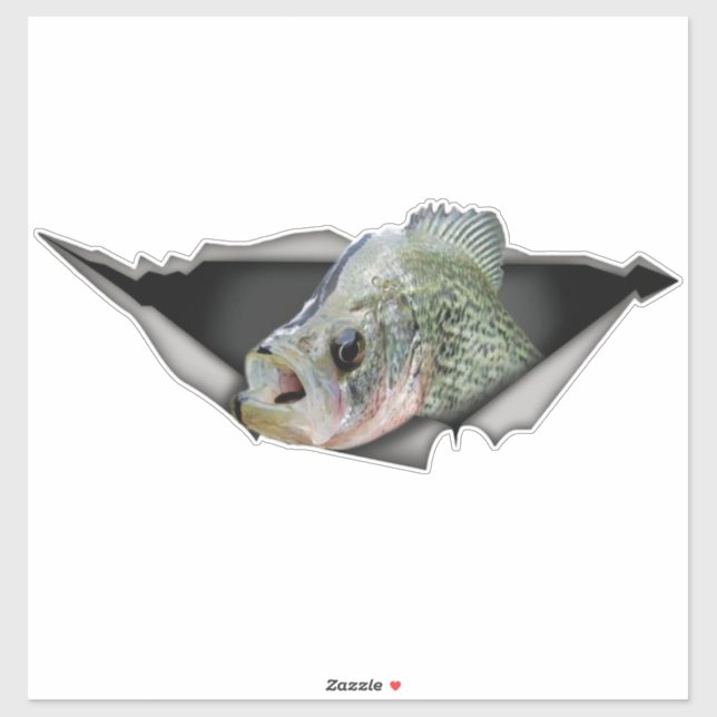 Sticker Crappy auto decal, Crappy sticker, Crappy déchiré  (Feuille)