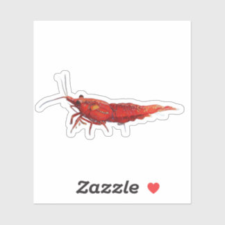 Sticker Crevette cerise rouge RCS 