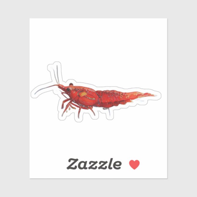 Sticker Crevette cerise rouge RCS  (Feuille)