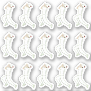 Sticker Cricket