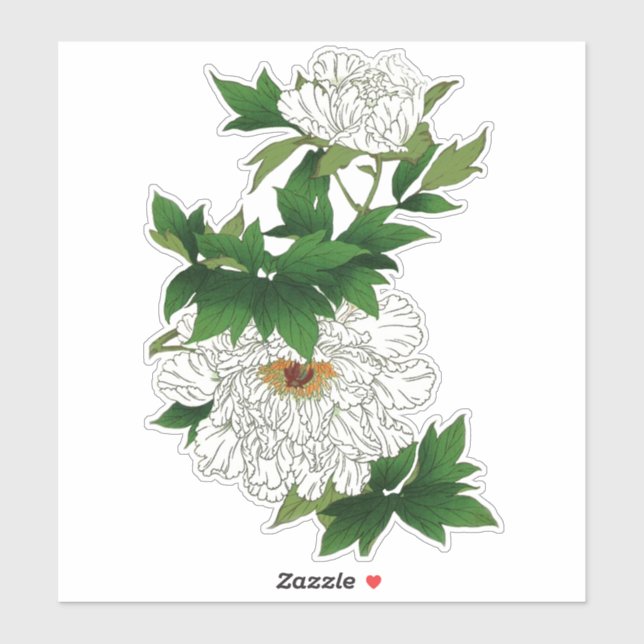 Sticker Croquis japonais vintage de grande pivoine blanche (Feuille)