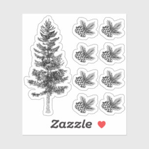 Sticker Croquis Rustique Pine Tree & Cones Forêt Bois