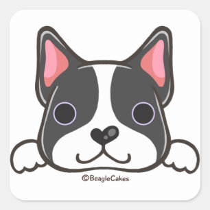 Sticker Curte Boston Terrier