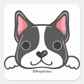 Sticker Curte Boston Terrier
