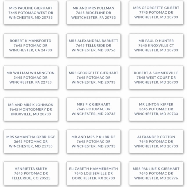 Sticker Custom Name 18 Shipping Large Address Labels (Devant)