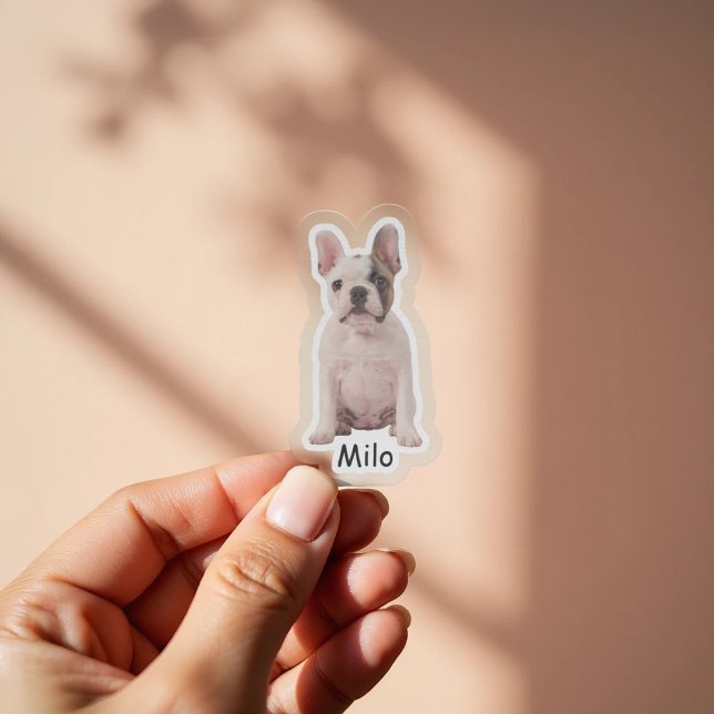 Sticker Custom photo French bulldog puppy (Créateur téléchargé)