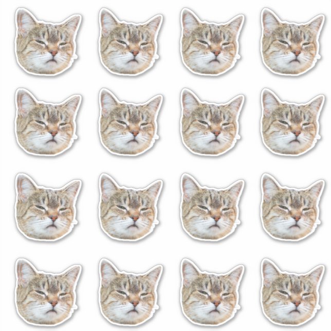 Sticker Custom Photo Waterproof Vinyl  (Devant)