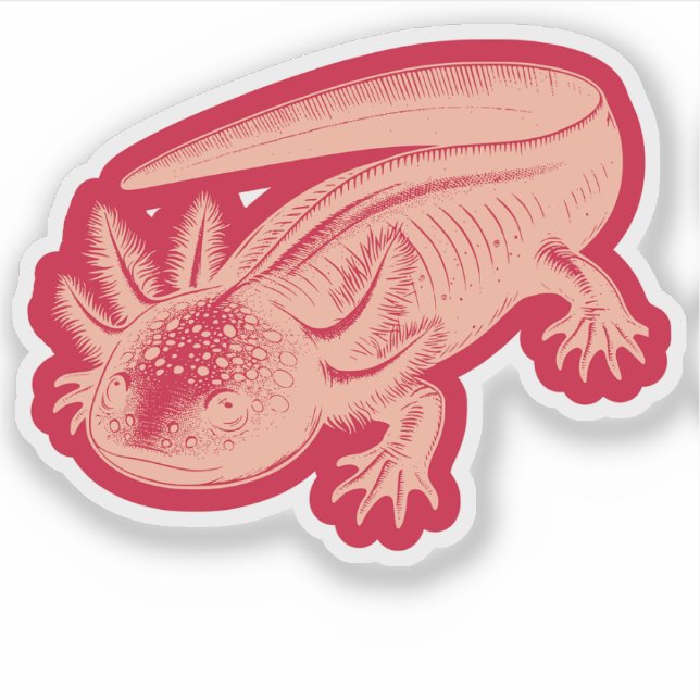 Sticker Cute Axolotl Nouveaux modèles Vinyl (Devant)