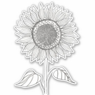 Sticker Cute Elegant Boho Noir et Blanc Crayon Tournesol