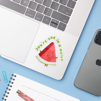 Sticker Cute Funny One in a Melon Watermelon Pun 