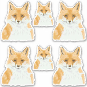 Sticker Cute Little Red Fox - transparent 6x découpe pers