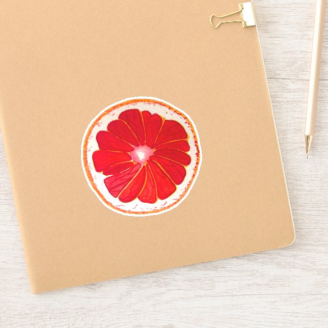 Sticker Cute peint à la main pamplemousse rose pop art (Carnet)