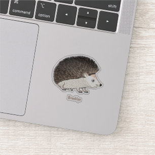 Sticker Cute prickly hedgehog cartoon