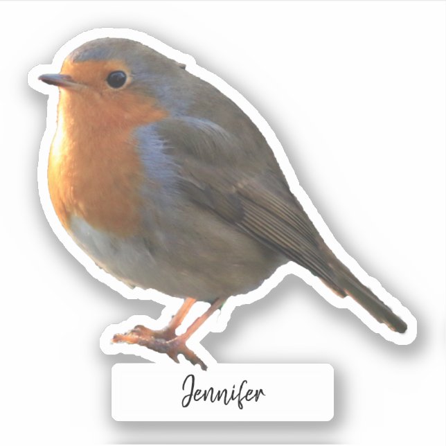 Sticker Cute Robin oiseau personnalisé découpe personnalis (Devant)